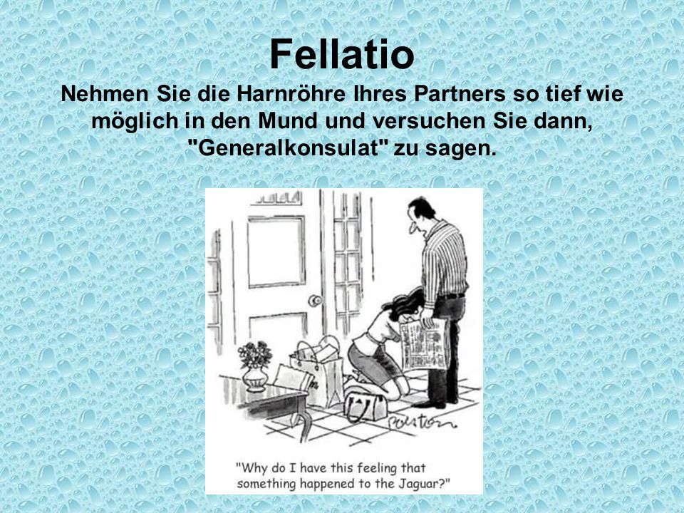Witzig bilder für whatsapp